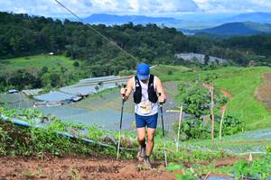 BIB: 8281
                            <button type="button" onclick="openModal(13380610)" class="btn btn-primary btn-sm float-right btn-popup" data-toggle="modal" data-target=".modal-high-quality">
                        <i class="fas fa-shopping-cart"></i> Add to Cart
                    </button>
                                            <button type="button" onclick="isThisMe(13380610, true)" class="btn btn-success btn-sm float-right btn-popup btn-isme hidden" data-toggle="tooltip" data-placement="bottom" title="นี่คือรูปของคุณใช่ไหม คลิกที่นี่เพื่อเอาเข้าอัลบั้ม">
                        <i class="fas fa-plus"></i> Add to album
                    </button>
                    <button type="button" onclick="isThisMe(13380610, false)" class="btn btn-warning btn-sm float-right btn-popup btn-isnotme hidden">
                        <i class="fas fa-ban"></i> Remove from album
                    </button>